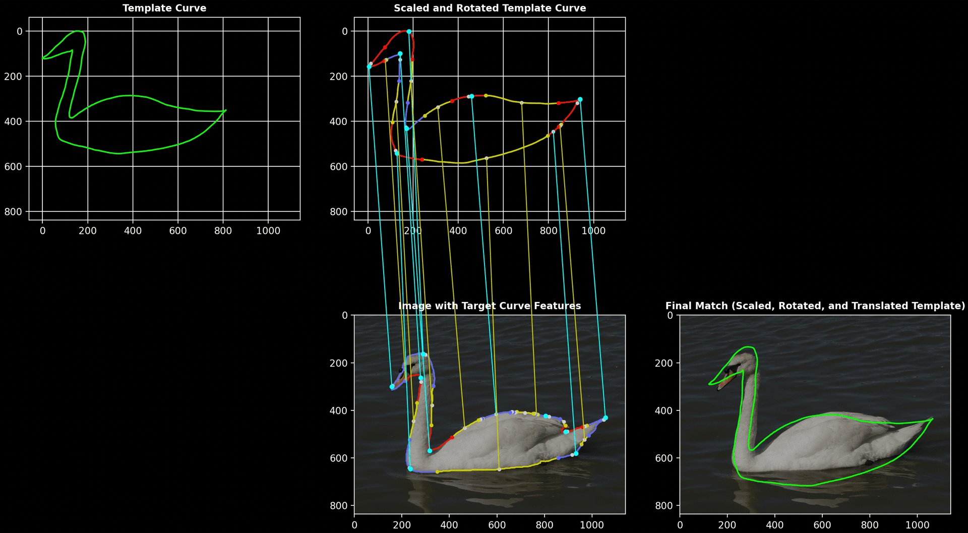 Swan