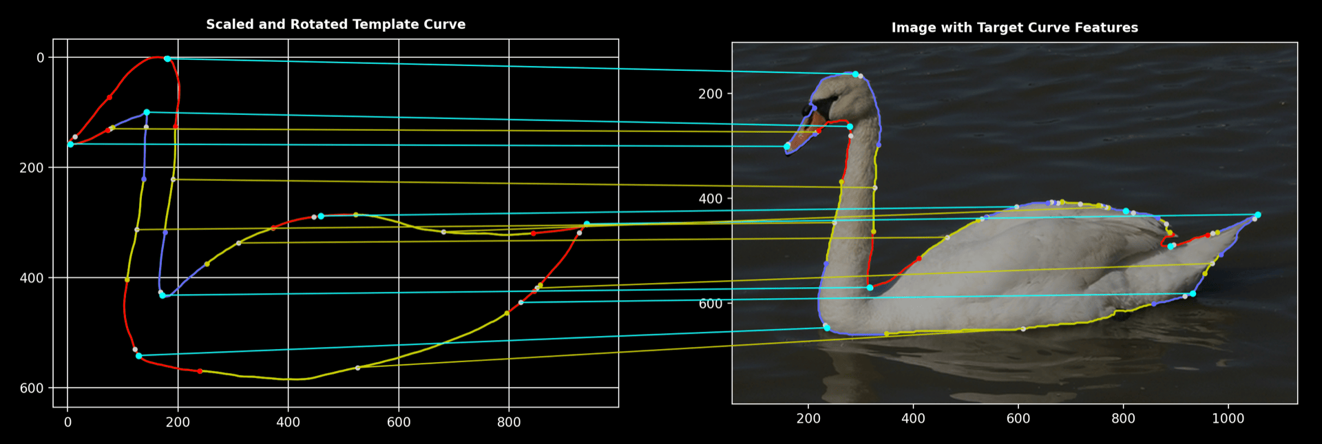 Swan